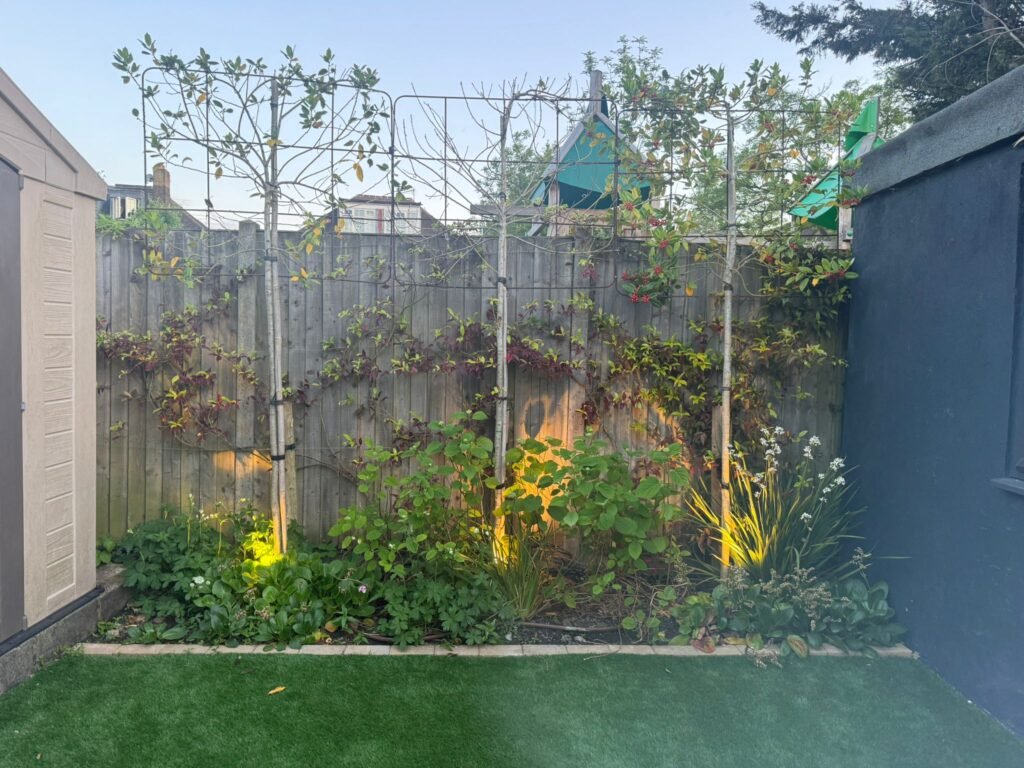 Low voltage garden spike lights installed